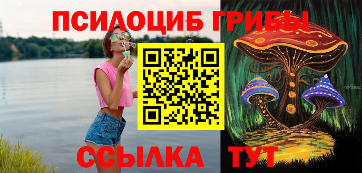 Кулебаки  Псилоцибиновые грибы мицелий  Вход с VPN 