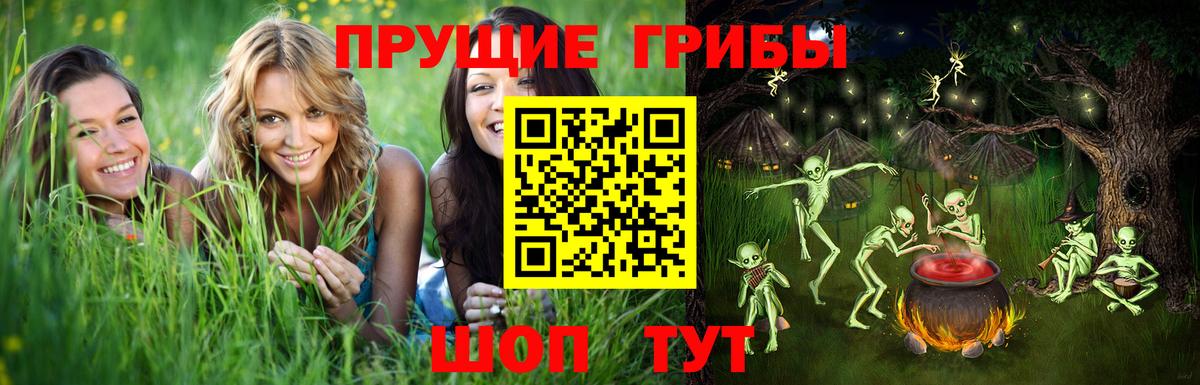 Псилоцибиновые грибы Psilocybine cubensis Кулебаки